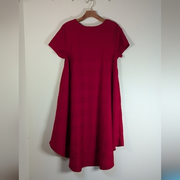 LuLaRoe Carly Dress – Rich Cherry Red Swing Style 🍒❤️ - Picture 3 of 5